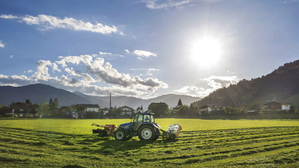 Landwirtschaftskammerwahl in Kärnten Freiheitliche gewinnen drei Mandate